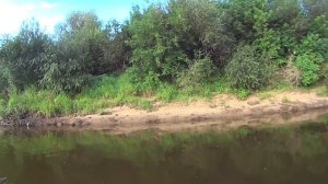 Smith Camion Magnum SR в деле. Топовый кренк на язя и голавля!