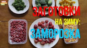 Готовимся к зиме: все о заморозке продуктов