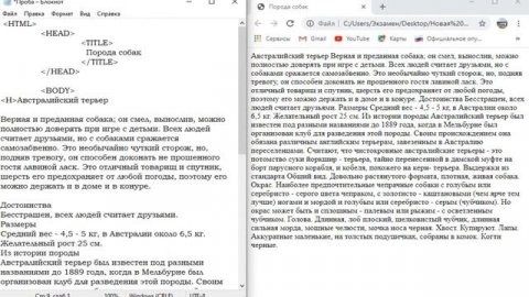 Основы языка HTML