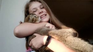 10 Фактов о моей кошечке Не любит сидеть на руках?♥️♥️♥️♥️