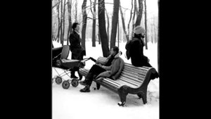 "Деревня" - Аквариум