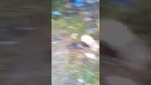 Пытались разбить телевизор #2