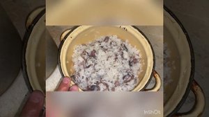 Кормление Шарпеев. Злата и кот))