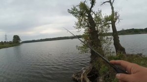 Рыбалка на озере Линево! Ловля окуня на микроджиг, и приятный бонус)