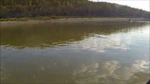 ДВЕ ТРЁШКИ ПОДРЯД И ЧЕРНЫЙ КОРЯЖНЫЙ СУДАК. Рыбалка Иртыш, Омская область, 2019 год