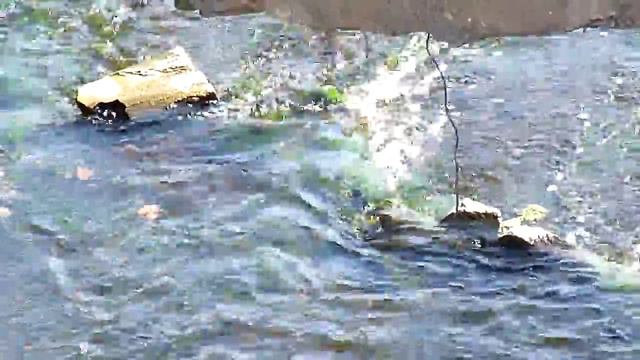 Река Незнайка смотреть онлайн