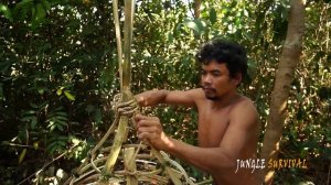 Здание Дома на Дереве Птичье Гнездо