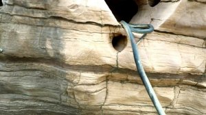 Грузовик упал в воду с дамбы, а змеи его спасли