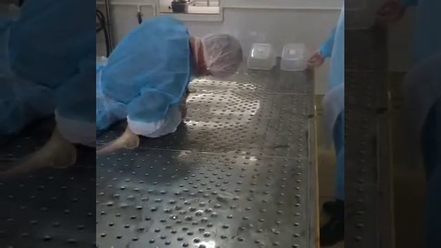 Извлечение ястыков