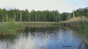 Озеро Становое. Ульяновск. Рыбалка на озере Становом.