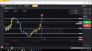 Фиаско на бесплатном турнире с CRYPTO IDX