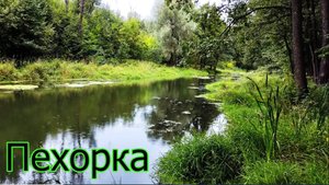 Рыбалка в Подмосковье_ Железнодорожный и Павлино, Пехорка. Ловля на поплавок в проводку и на стоячей