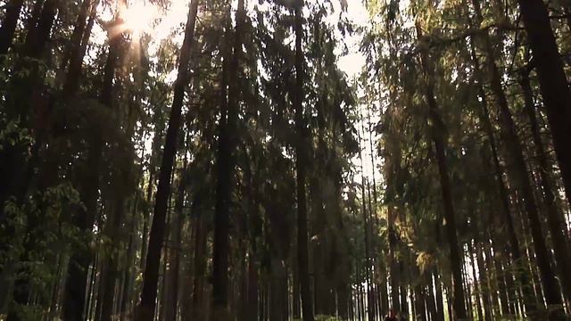 Если ты устаешь от ходьбы — беги! смотреть онлайн