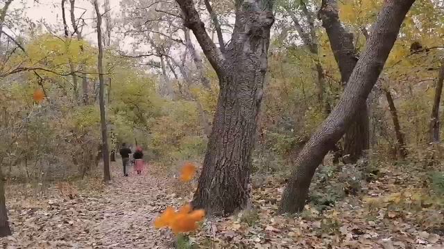 наведалась к друзьям меньшим🐱