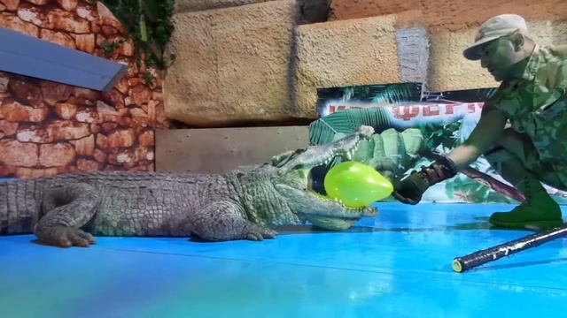 крокодил 270 смотреть онлайн