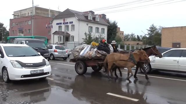 Mongolian HORSES involved in TRAFFIC JAM Монгольские ЛОШАДИ в ПРОБКЕ замын түгжрэлд оролцдог адуу смотреть онлайн