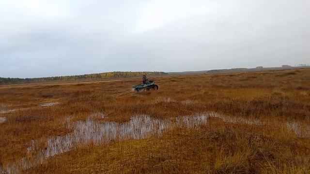 По топкому болоту на вездеходе!!!