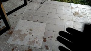 Можно ли укладывать керамический гранит на улице???