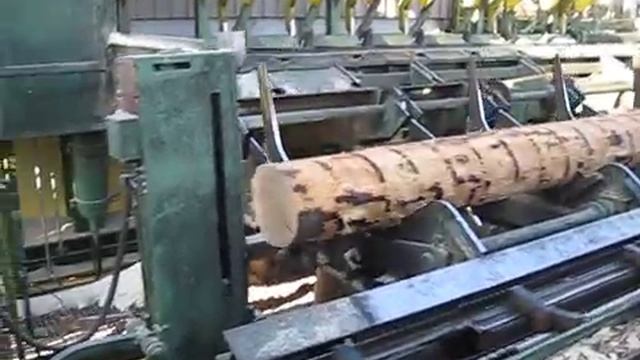 Линия сортировки бревен Holtec 42 кармана смотреть онлайн