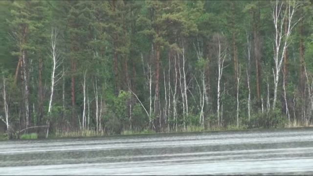 031.Озеро Линёво.Тишина...и птицы...