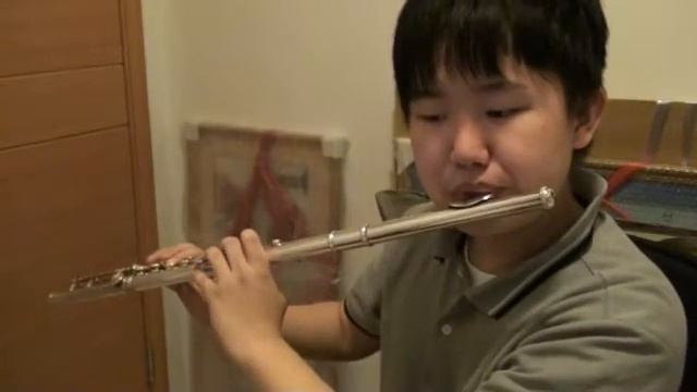 My Neighbor Totoro ~main theme - flute cover смотреть онлайн