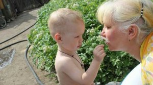 С днём свекрови.mp4