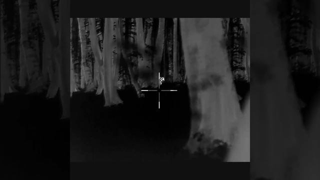 InfiRay Tube TH50 V2 смотреть онлайн