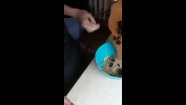 Морковные вафли по басистопольски
