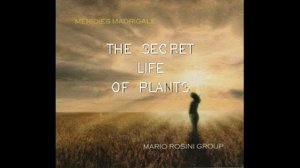 Mario Rosini - THE SECRET LIFE OF PLANTS (S.Wonder)