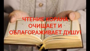Польза от чтения Корана!  (Коран 59:20)