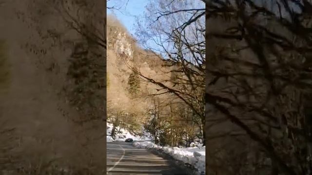 Зимняя Сказка. Озеро Рица. Абхазия.