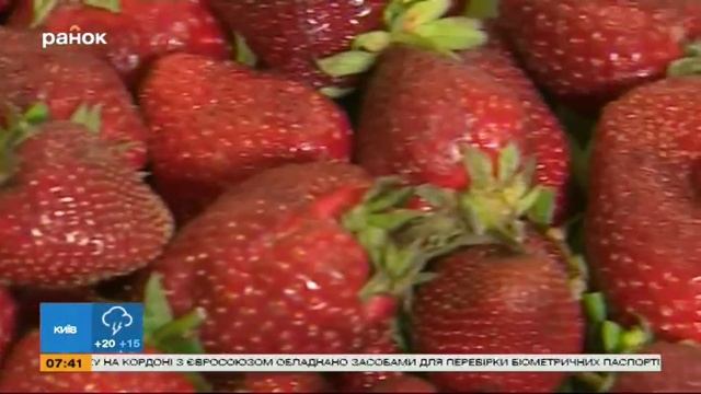 Как правильно выбирать клубнику? Советы экспертов смотреть онлайн