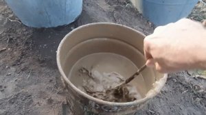 Как сохранить корневую саженцев после выкопки.