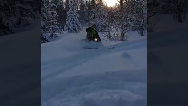 Larven смотреть онлайн