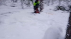 Валка леса рогатой Хускварной 262