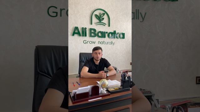 ?"Quyoshdan nuridan saqlovchi setka"? смотреть онлайн