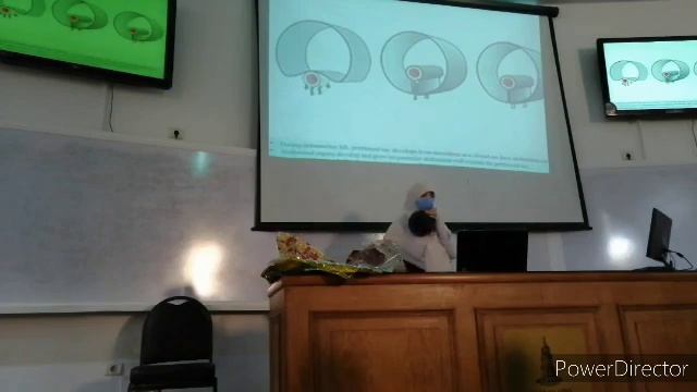 6- Hernia part 2 & Start of peritoneum Dr Basma Anatomy GIT смотреть онлайн