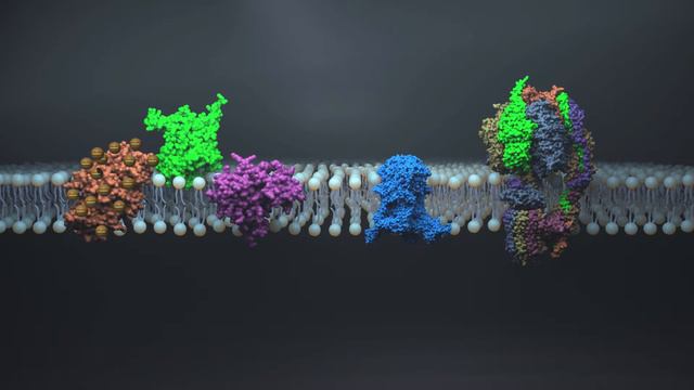 Бутиквинол смотреть онлайн