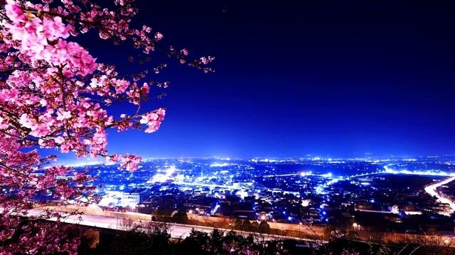 Психологические этюды: синдром эбдо, как реакция массового сознания смотреть онлайн