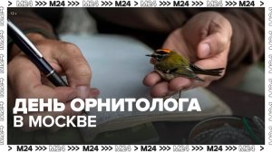 Мосприрода организует мероприятие по случаю Дня орнитолога - Москва 24