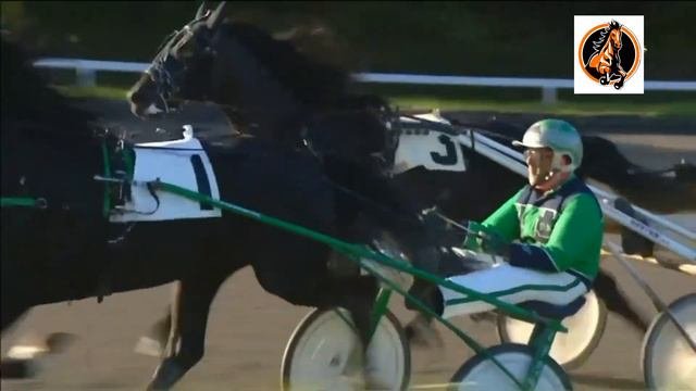 СКАЧКИ.Махараджа — Всероссийский рекордист🐎🐎🐎