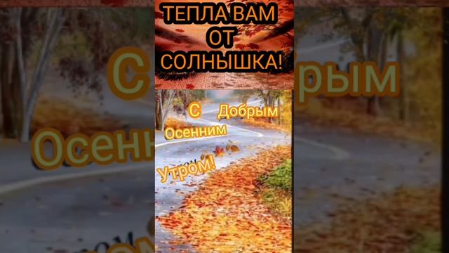 С прекрасным и осенним добрым утром!ПРИВЕТ ОТ ОСЕНИ И ОТ МЕНЯ! ТЕПЛА ВАМ ОТ СОЛНЫШКА!