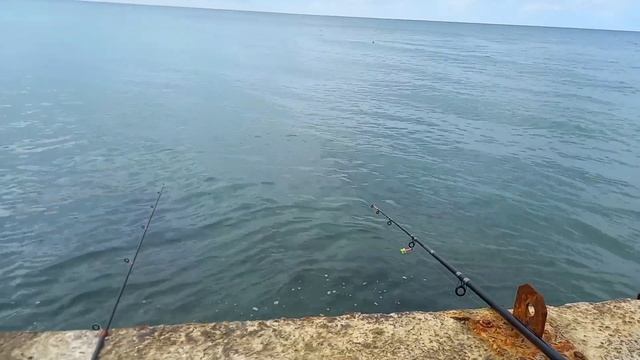 Рыбалка в Николаевке смотреть онлайн