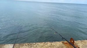 Рыбалка в Николаевке