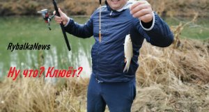 Наловили мелочи на таранку! Результат великолепный! Красноперка и карась на поплавок =)