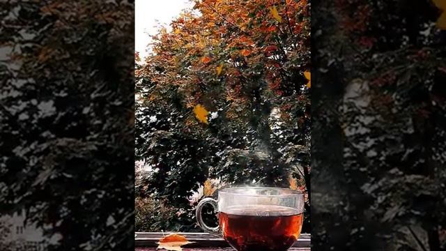 Отправить(5)