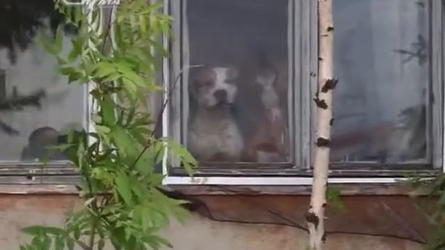 Помощь приняли единицы: смотреть онлайн