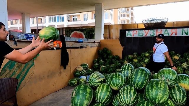 Самые вкусные арбузы из Дагестана! Рынок Тащан и К . Рекомендую!?ЛАЗАРЕВСКОЕ СЕГОДНЯ?СОЧИ. смотреть онлайн