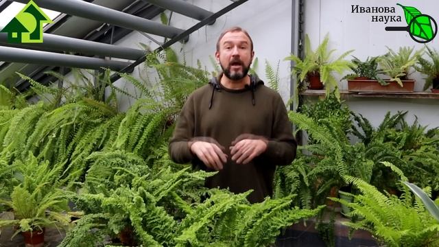 УДОБРЕНИЯ ЩЕЛОЧНЫЕ и КИСЛЫЕ. Что происходит, когда вы кладете в почву удобрения? Закисление почв.