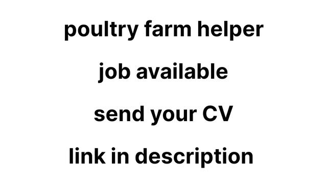 Helper Job in Dubai | Poultry farm job In Dubai | Dubai Jobs | Best Jobs in Dubai | Dubai Jobs | смотреть онлайн